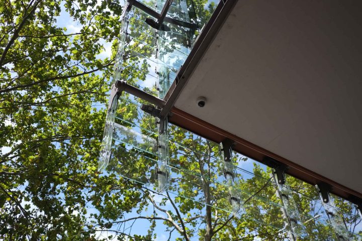 a sign hanging from a tree